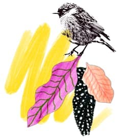 A graphic composition with a bird perched on colorful leaves against yellow brush strokes.